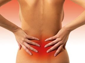 Causes of Spy at the bottom of the back